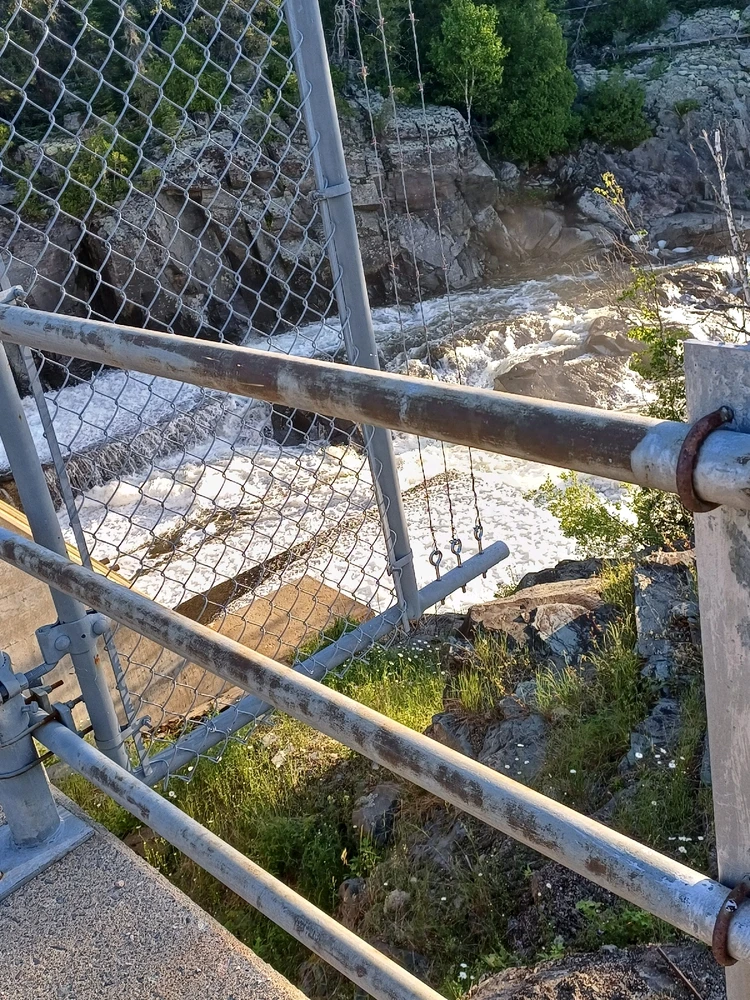 Image uploaded by Mason