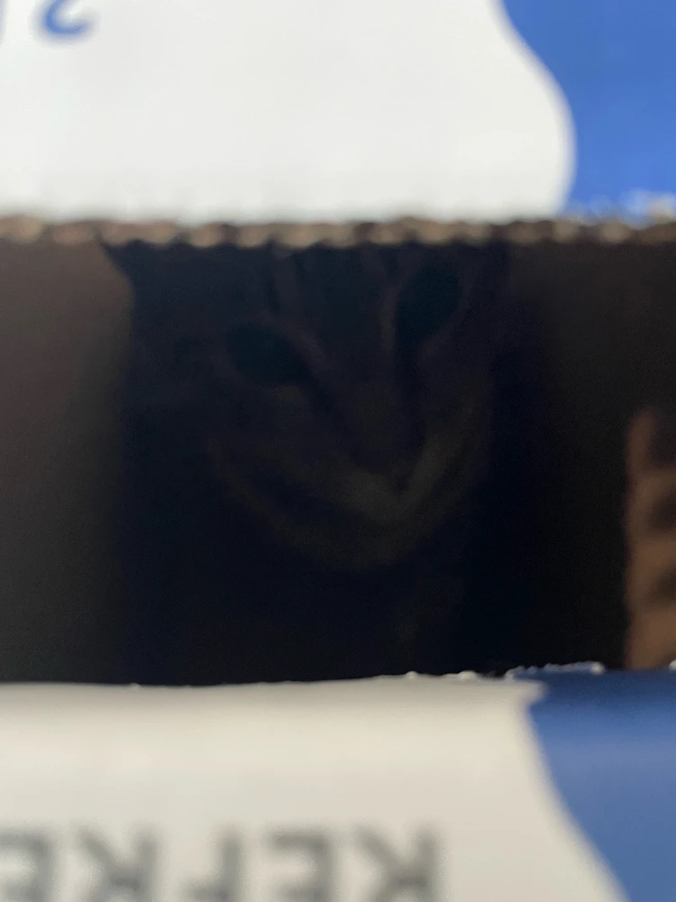 Image uploaded by Pao