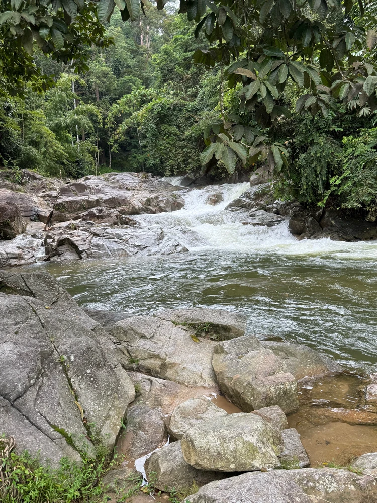 Image uploaded by Matthews Max