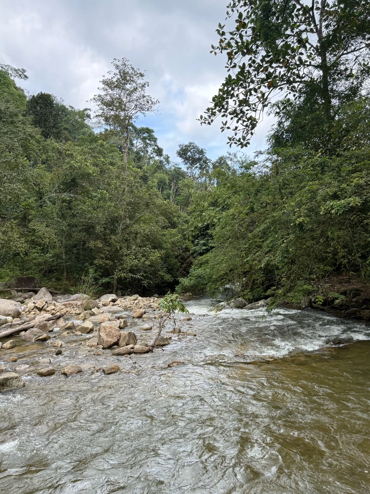 Image uploaded by Matthews Max