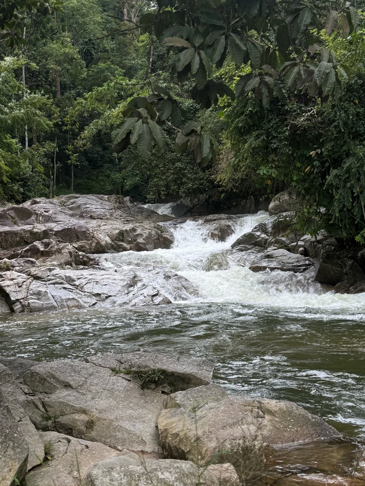 Image uploaded by Matthews Max