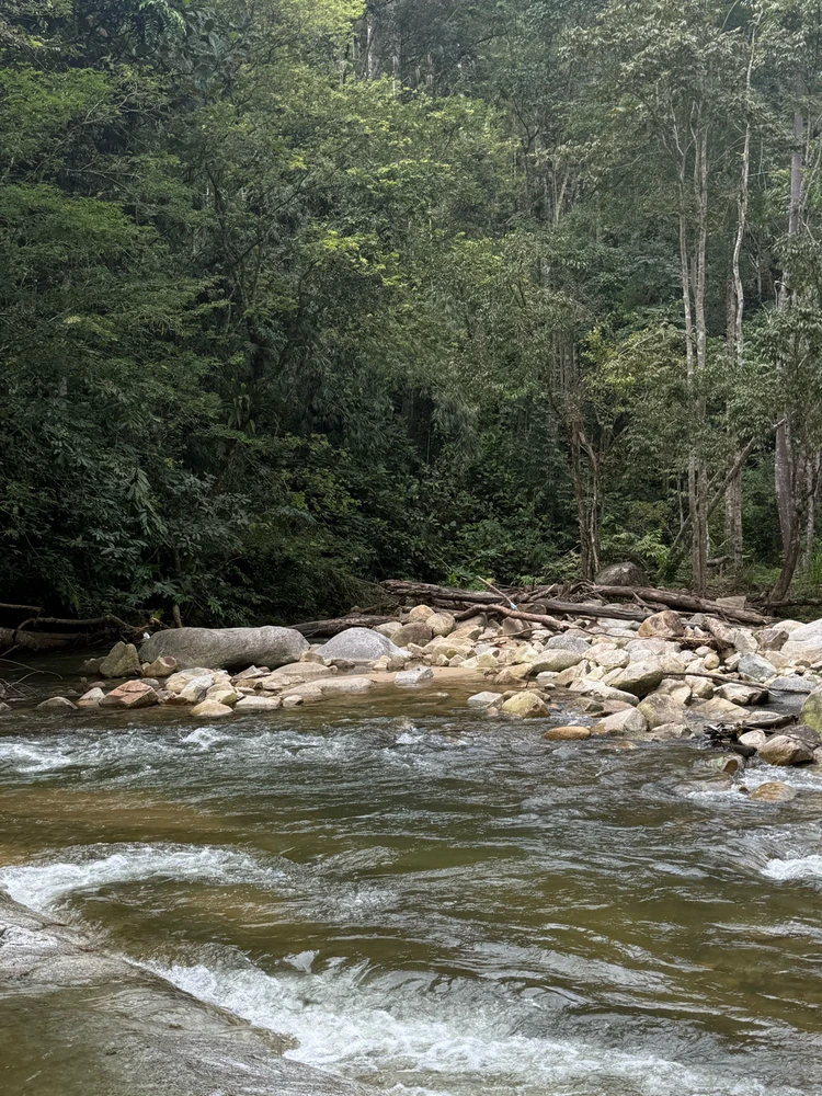 Image uploaded by Matthews Max