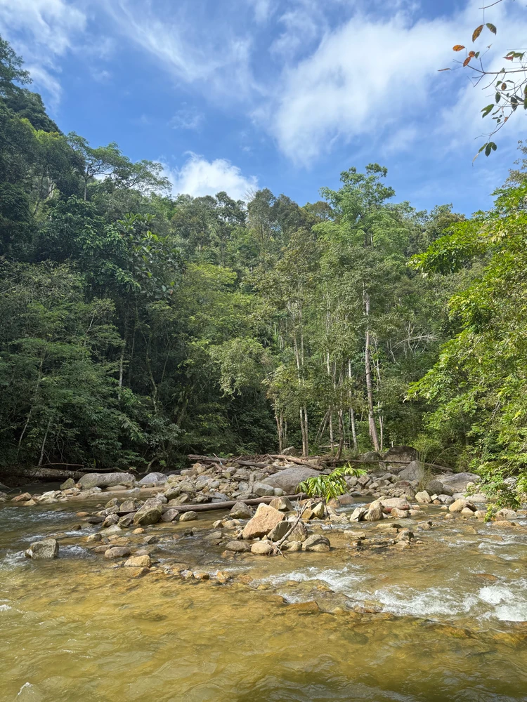 Image uploaded by Matthews Max