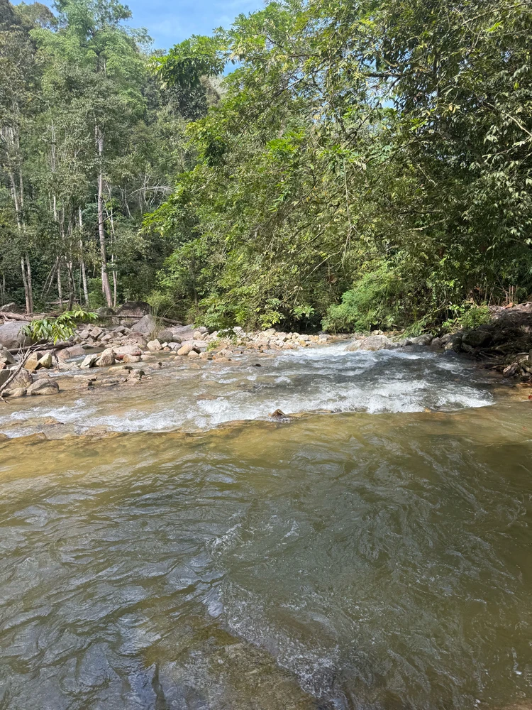 Image uploaded by Matthews Max