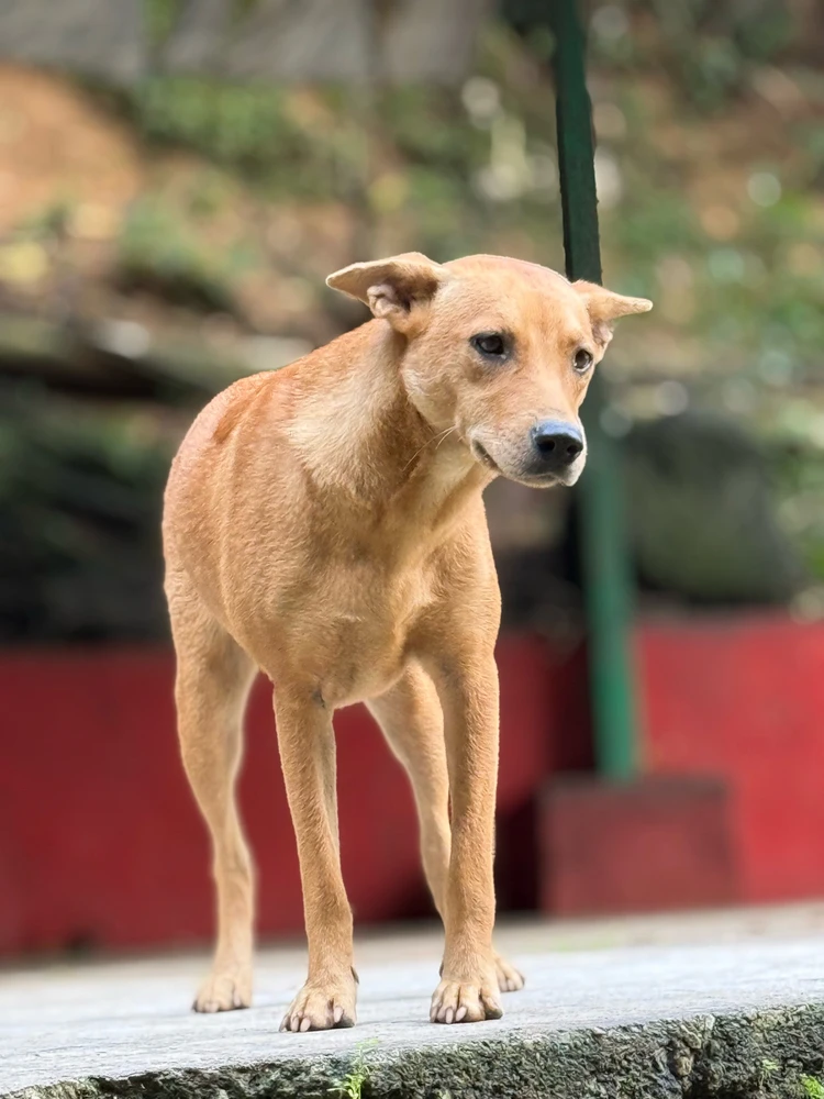 Image uploaded by Matthews Max