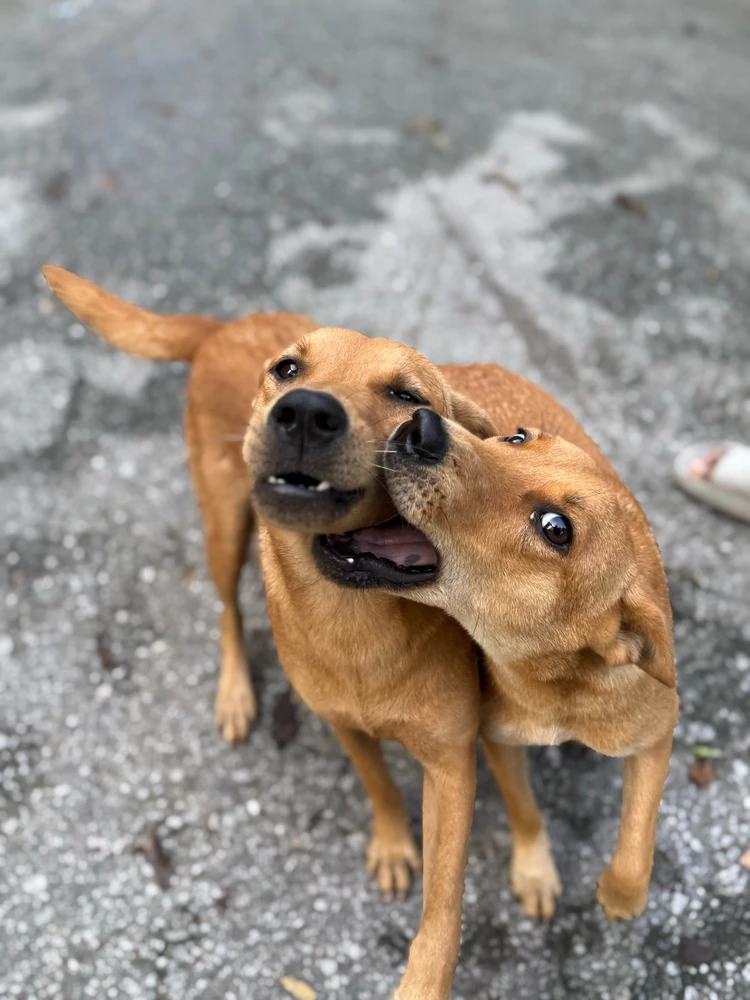 Image uploaded by Matthews Max