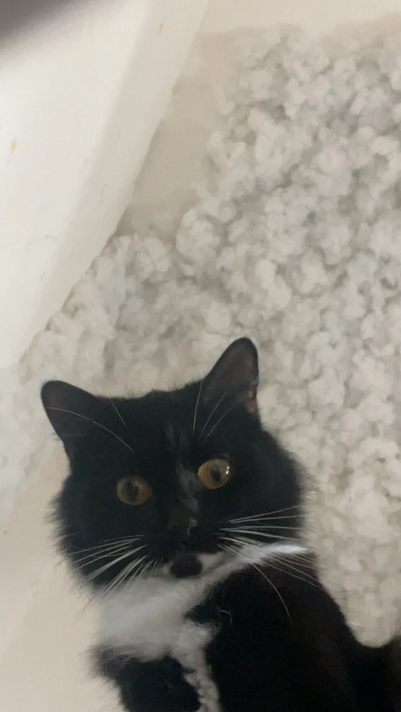 GIF ajouté par Allan