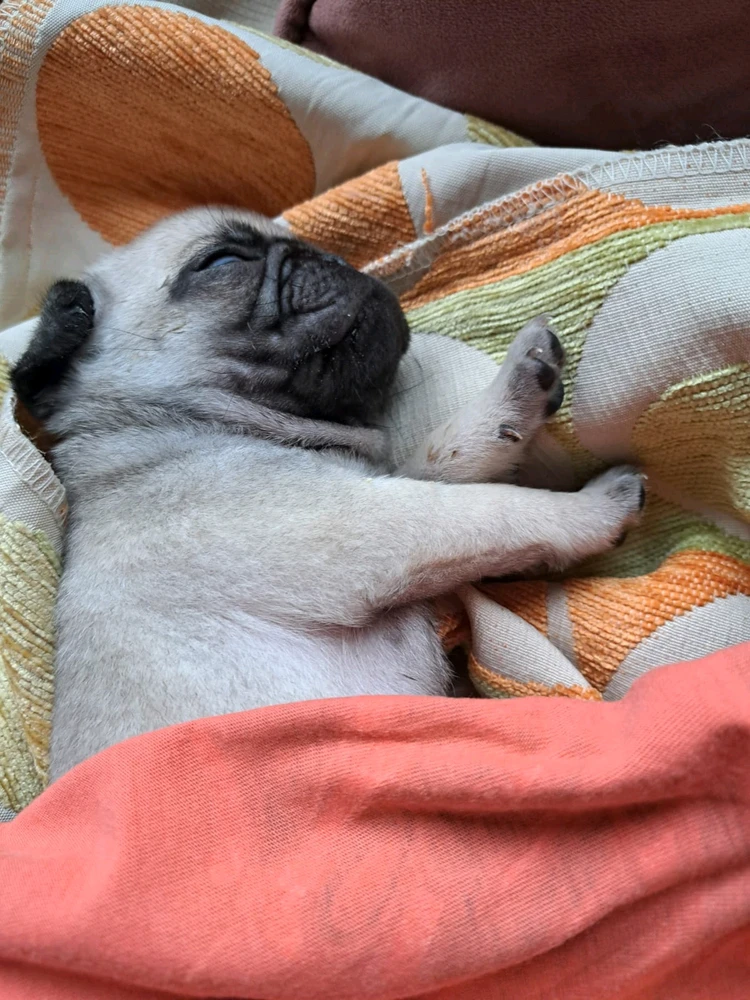 Sedat tarafından yüklenen görsel