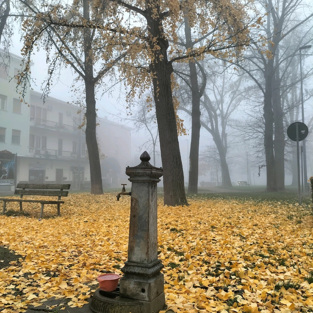 GIF caricata da Vincè