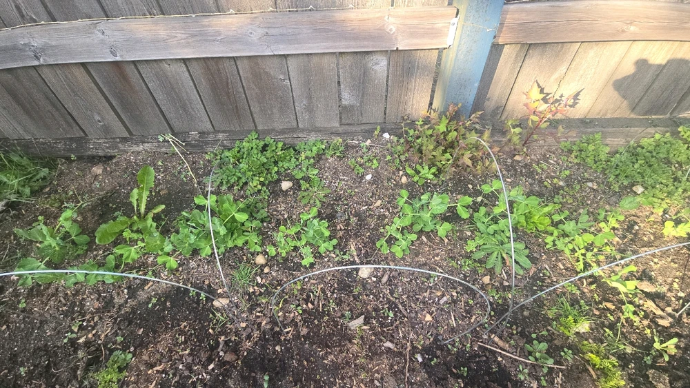 Gambar diunggah dening Daniel