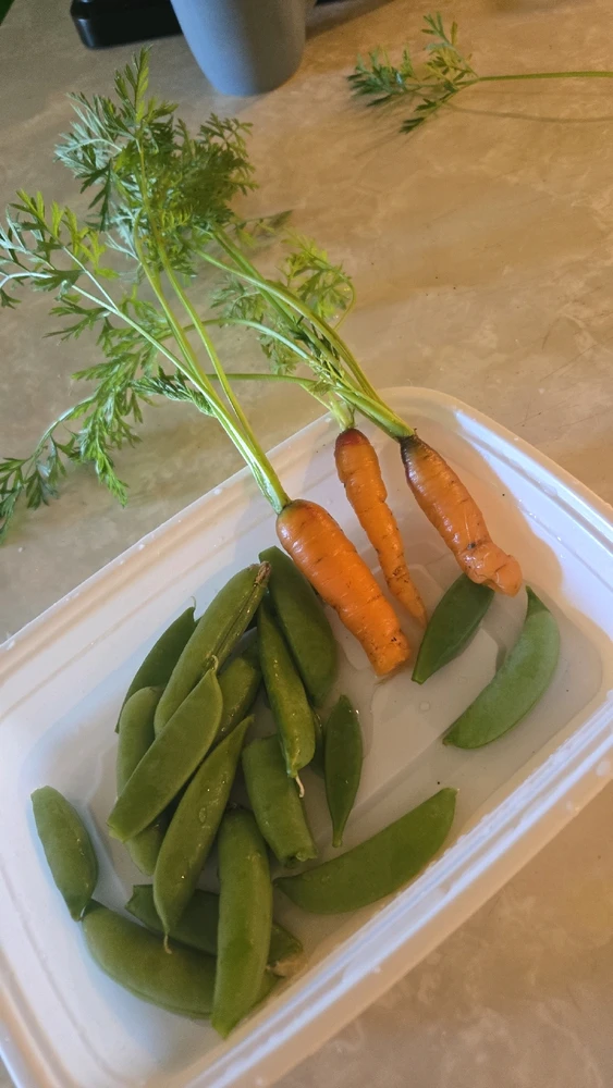 Gambar diunggah dening Daniel