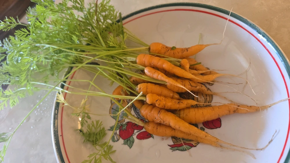 Gambar diunggah dening Daniel