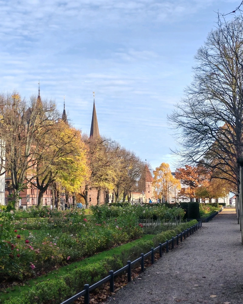 GIF uploaded by Dixon