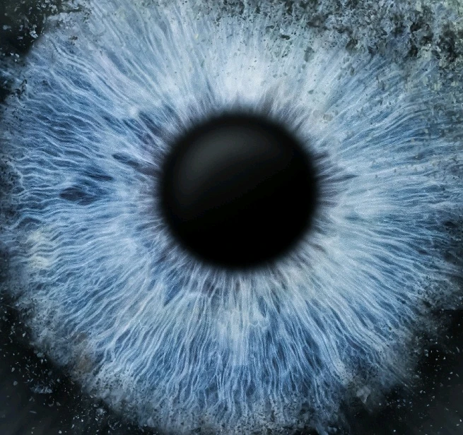 GIF hochgeladen von Henry