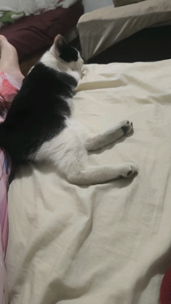 GIF uploaded by Alexis David Beltrán Moreno