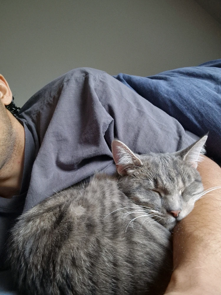 GIF hochgeladen von Maro