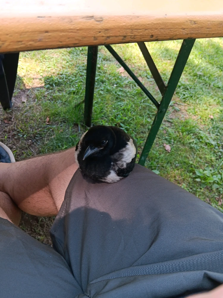 GIF caricata da Luca