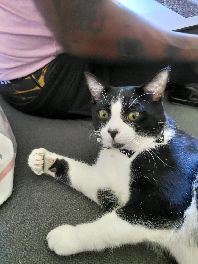 GIF uploaded by Amanda