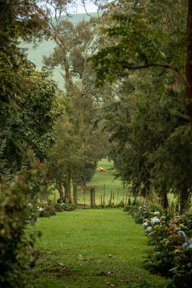 GIF uploaded by Sarah