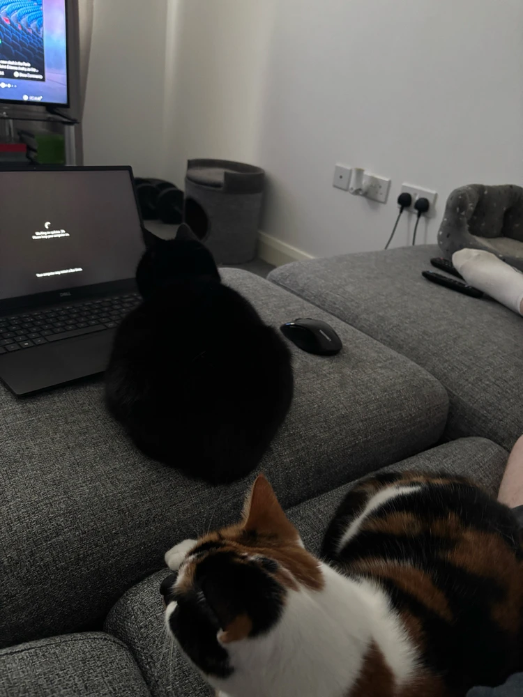 GIF uploaded by Jamie