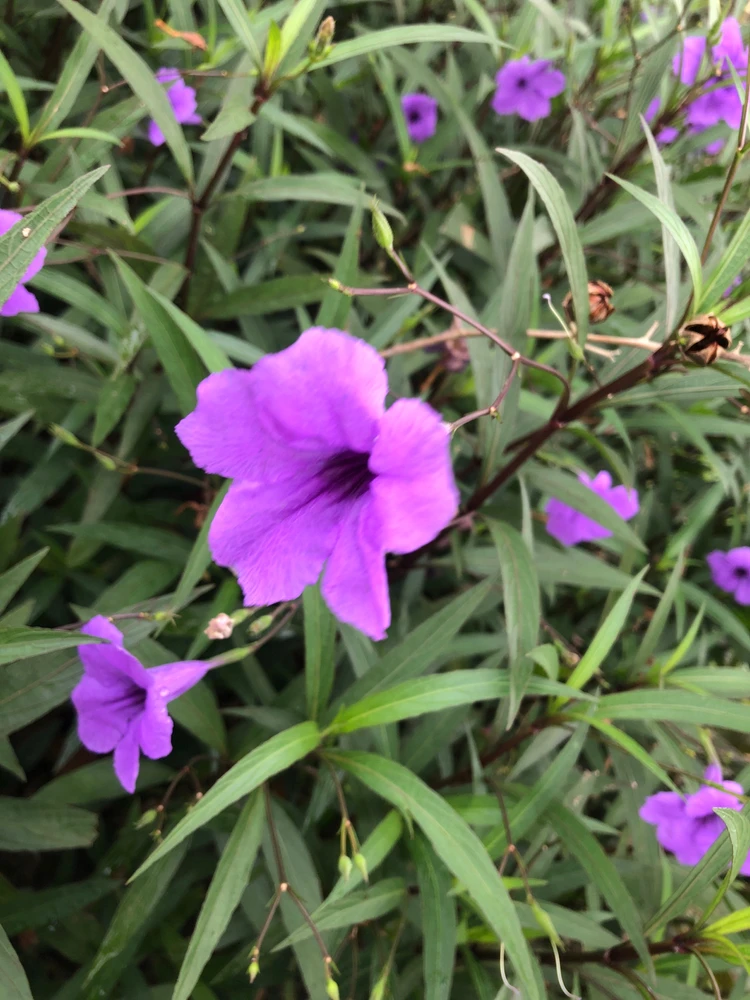 GIF uploaded by Sreyke