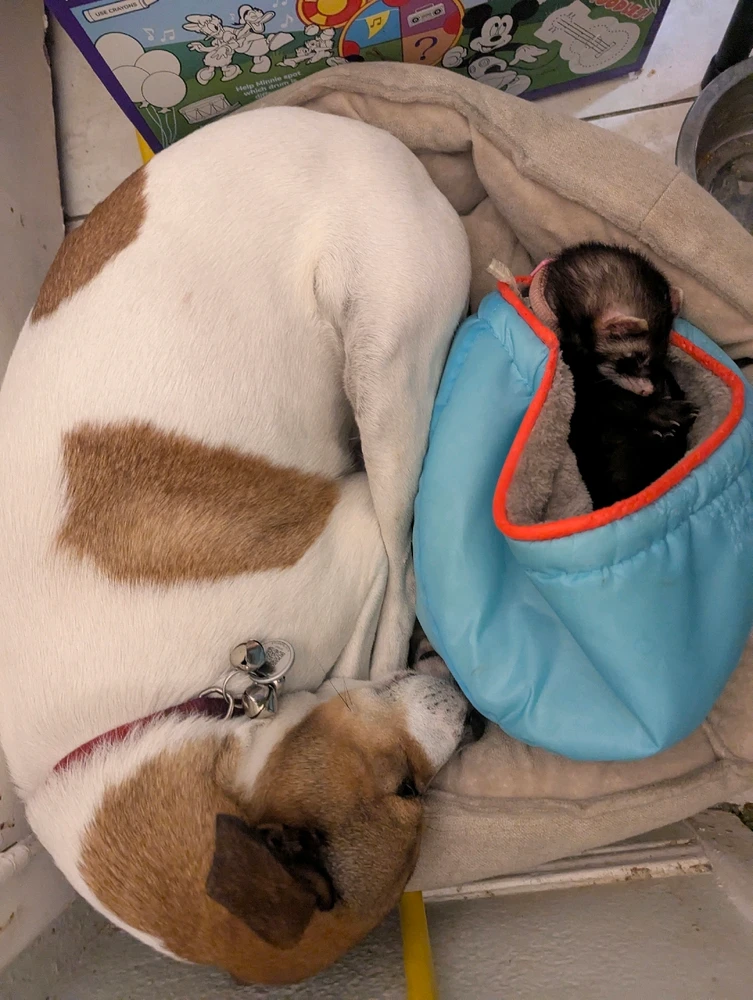 GIF uploaded by Deke Smith