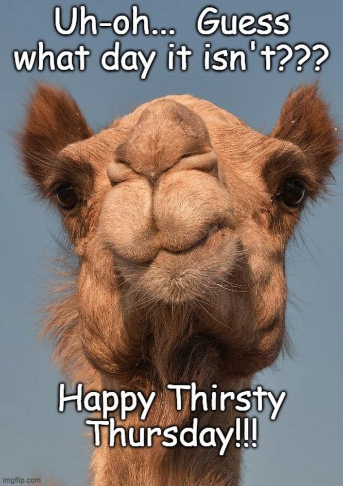 GIF uploaded by Heidi