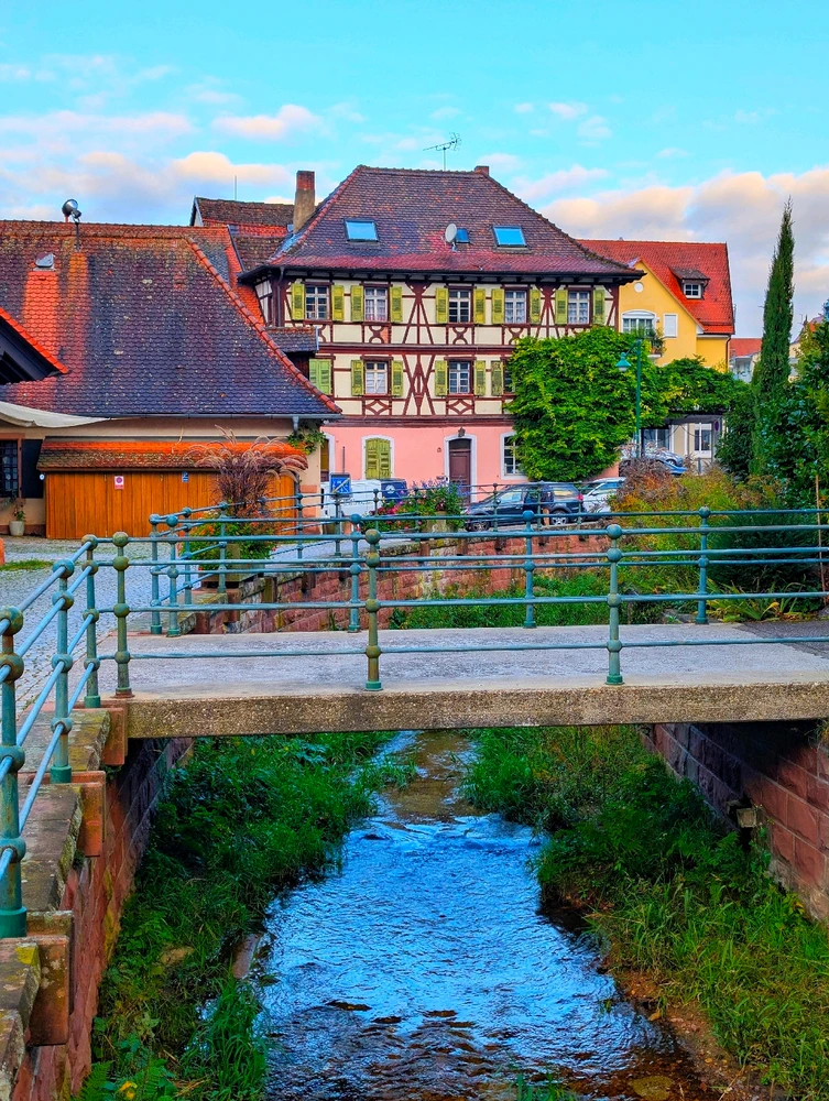 Image uploaded by Braund