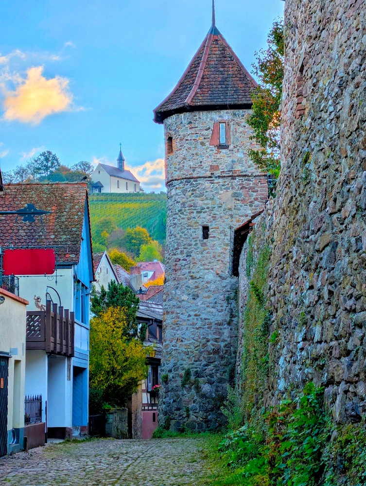 Image uploaded by Braund