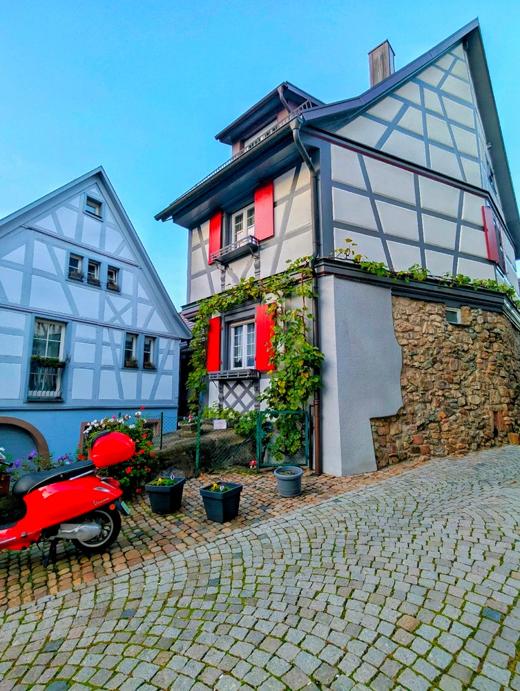 Image uploaded by Braund