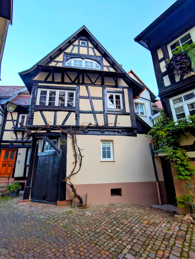 Image uploaded by Braund