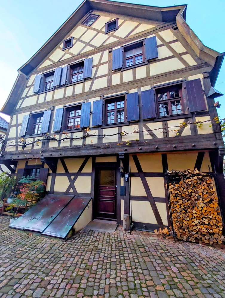 Image uploaded by Braund