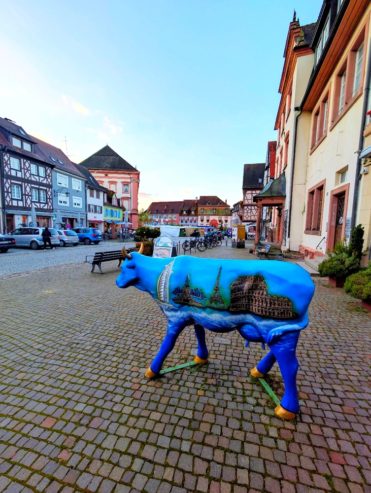 Image uploaded by Braund