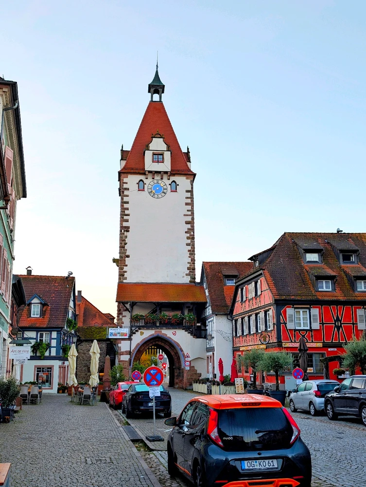 Image uploaded by Braund