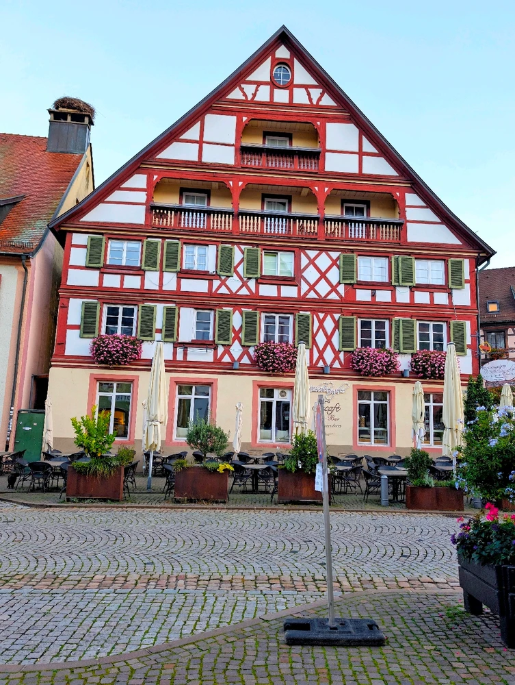 Image uploaded by Braund