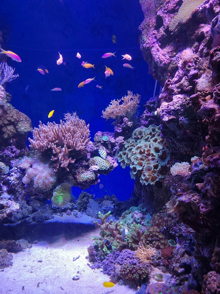 GIF diunggah dening Caterina