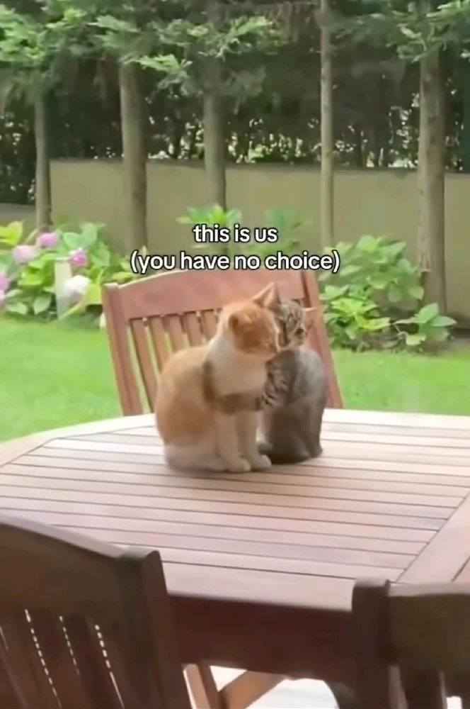 GIF uploaded by Gorgona