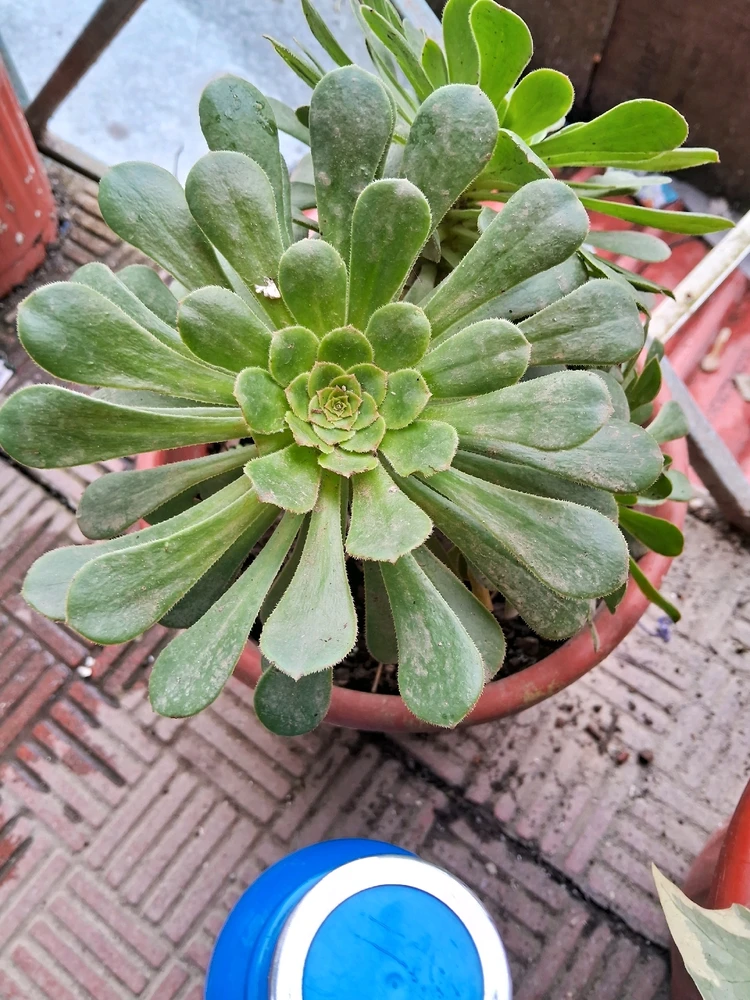 GIF uploaded by Subhra Mondal