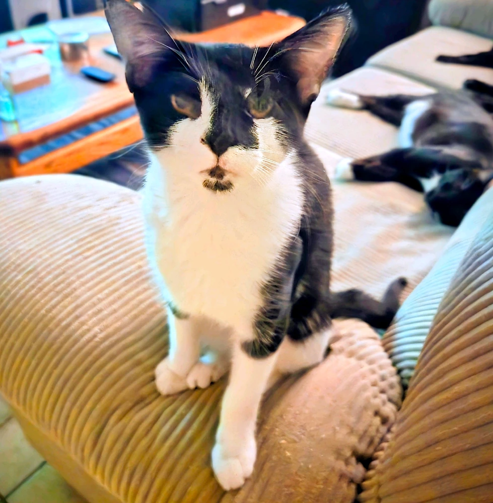 GIF uploaded by Mona