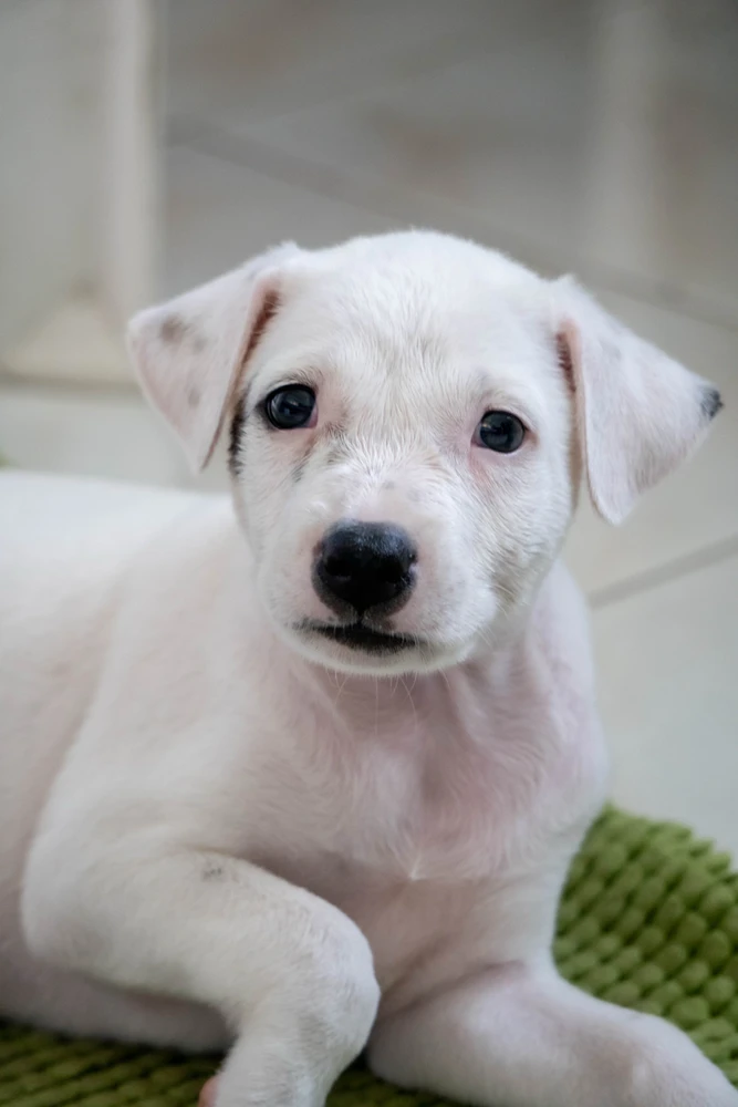 GIF uploaded by mike