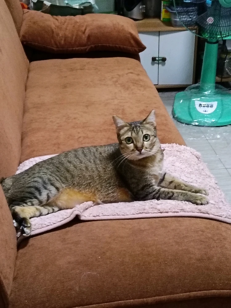 Image uploaded by Maria