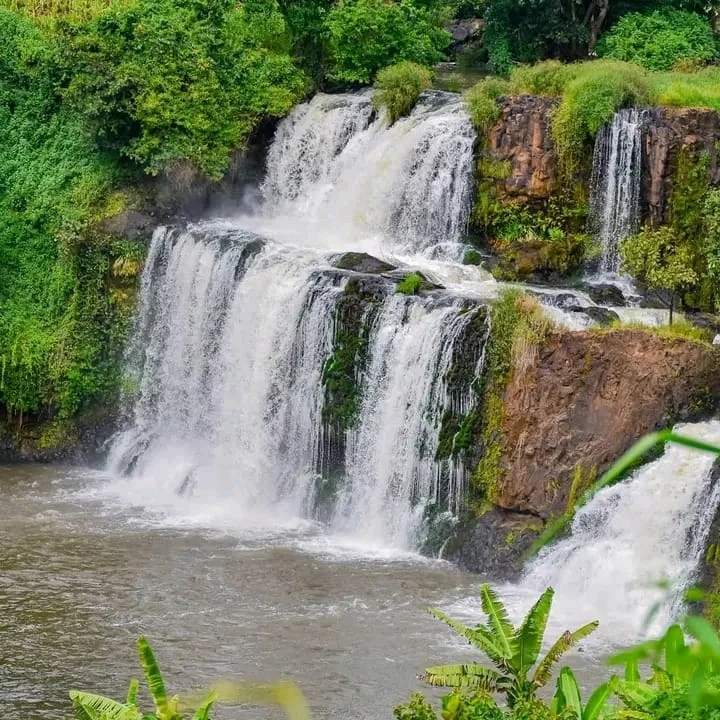 Image uploaded by Scholastica