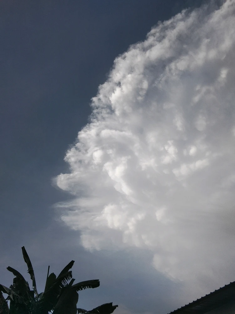 Gambar diunggah oleh Cipa