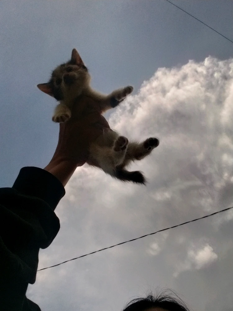 Gambar diunggah oleh Cipa