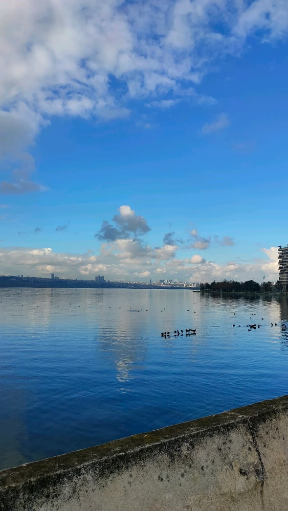 Image uploaded by Yellow