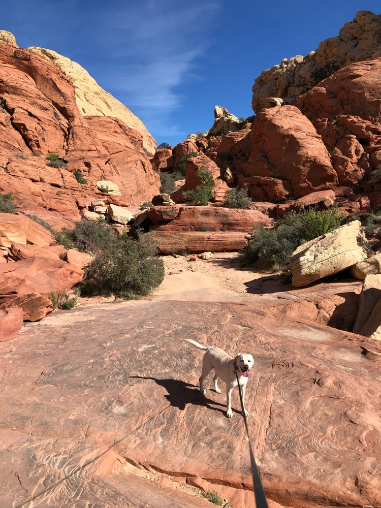 Image uploaded by Ian