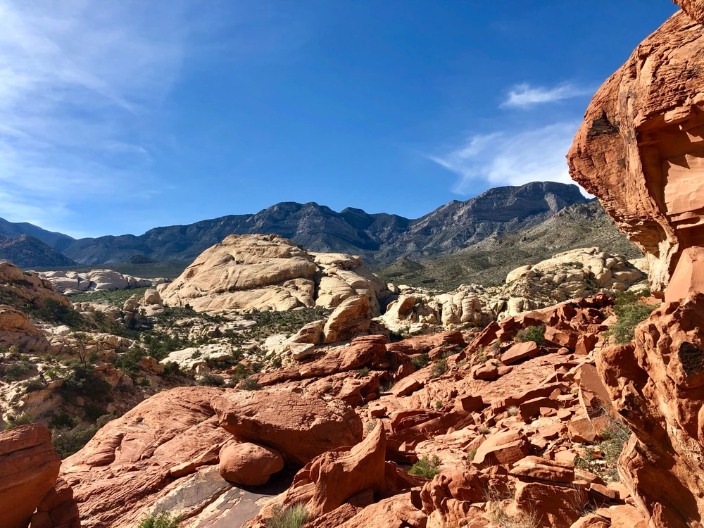 Image uploaded by Ian