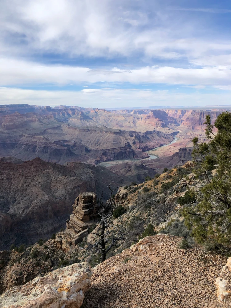 Image uploaded by Ian