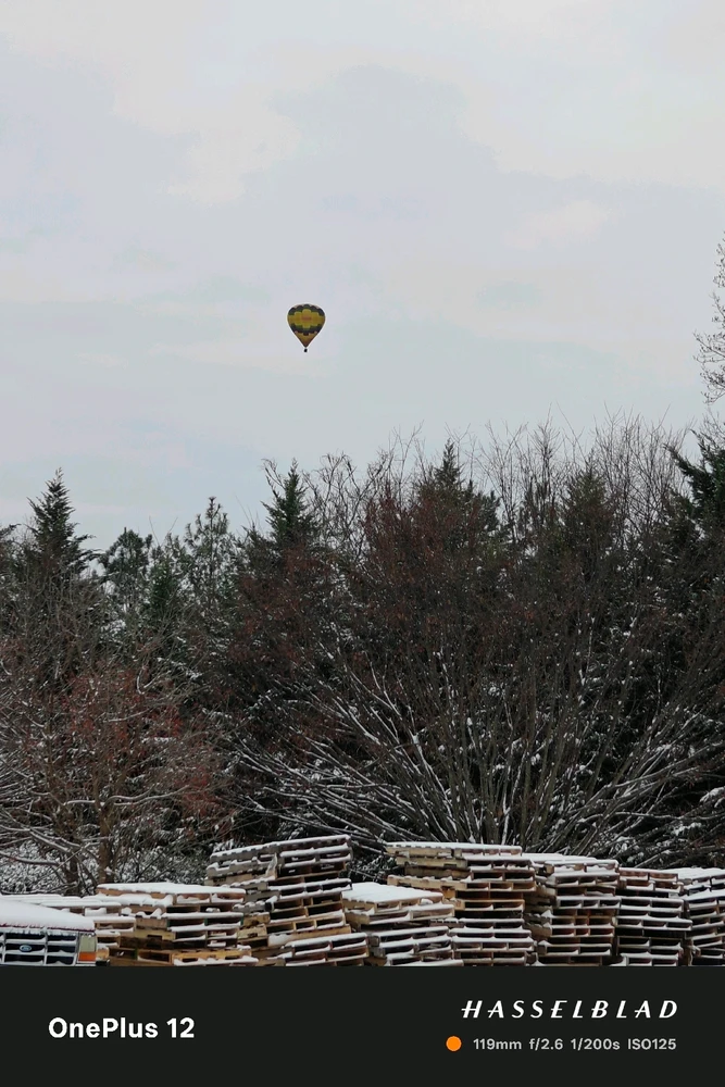 Image uploaded by Dan