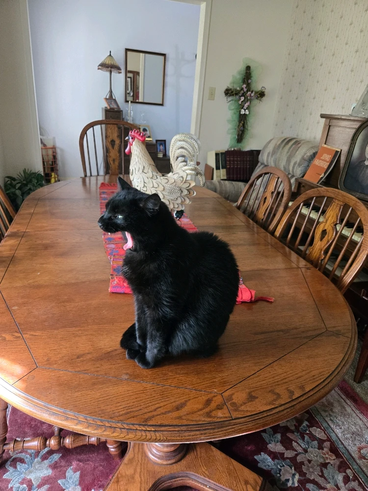 GIF uploaded by Jonathan